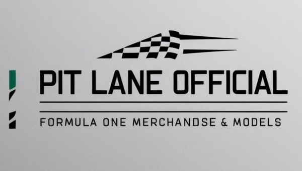 Pit Lane Official